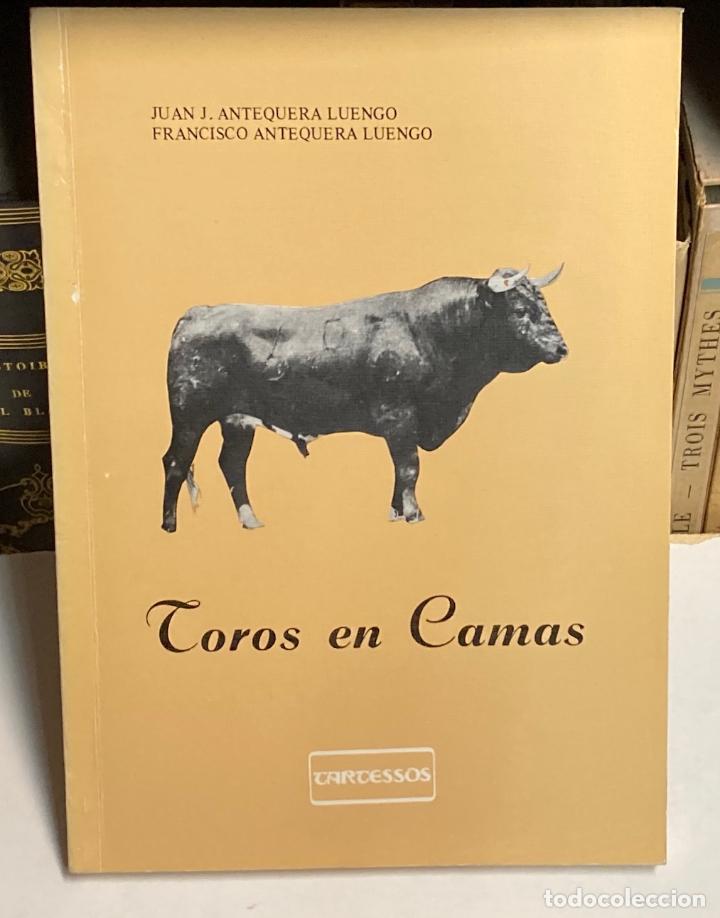 Tauromaquia: A&Ntilde;O 1982 - TOROS EN CAMAS POR JUAN Y FRANCISCO ANTEQUERA LUENGO