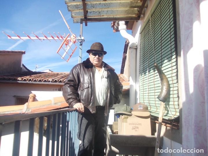 Tauromaquia: cuerno hueco de toro - Foto 2