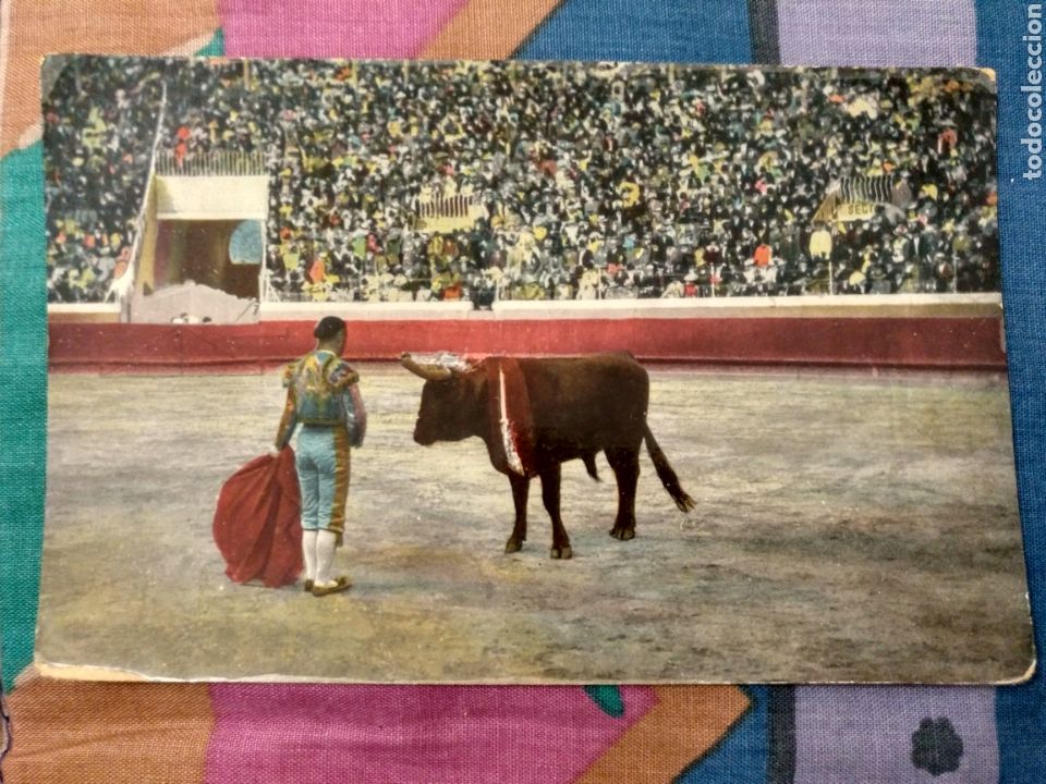 Tauromaquia: TOROS TORERO Y TORO - Foto 1