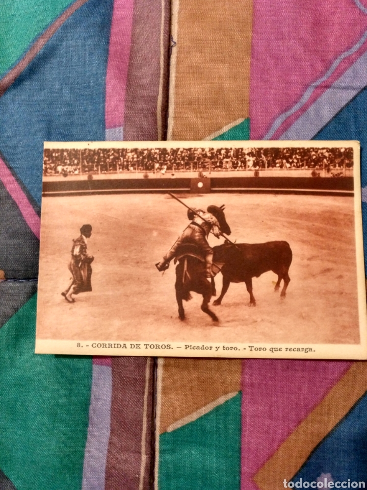 Tauromachie: TOROS PICADOR Y TORO. TORO QUE RECARGA.