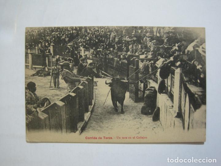 Tauromaquia: CORRIDA DE TOROS-UN TORO EN EL CALLEJON-ED&middot;EUG.PACAULT-BIARRITZ-POSTAL ANTIGUA-(76.477)