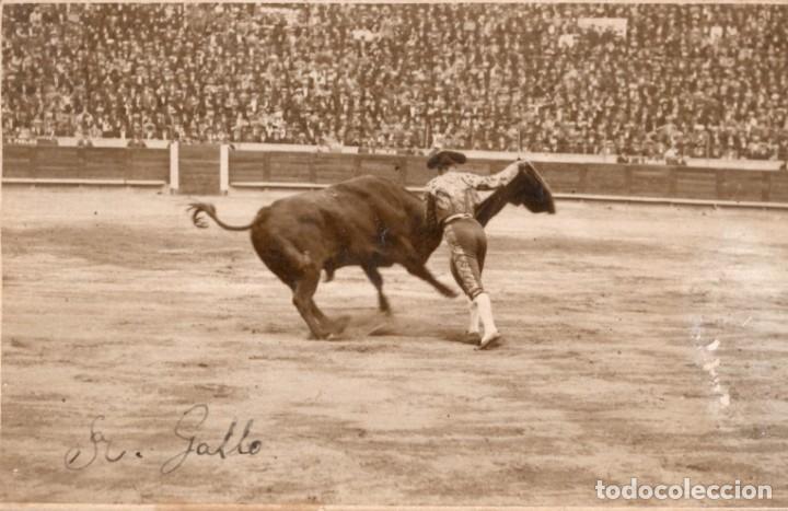rafael gomez gallo