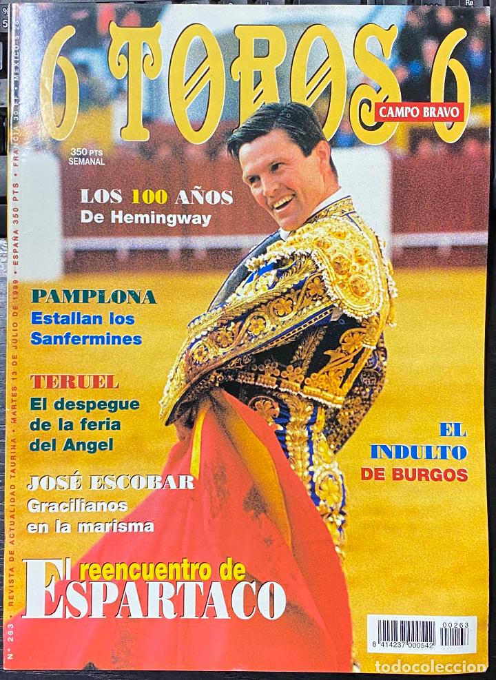 Tauromachie: REVISTA DE ACTUALIDAD TAURINA. 6 TOROS. N.&ordm; 263. JULIO DE 1999.