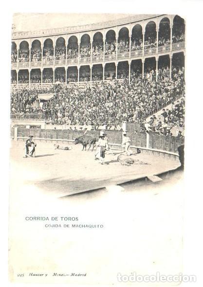 Tauromaquia: POSTAL, CORRIDA DE TOROS. COGIDA DE MACHAQUITO. N&ordm; 995 HAUSER Y MENET. CIRCULADA 1905, R. SIN DIVIDI