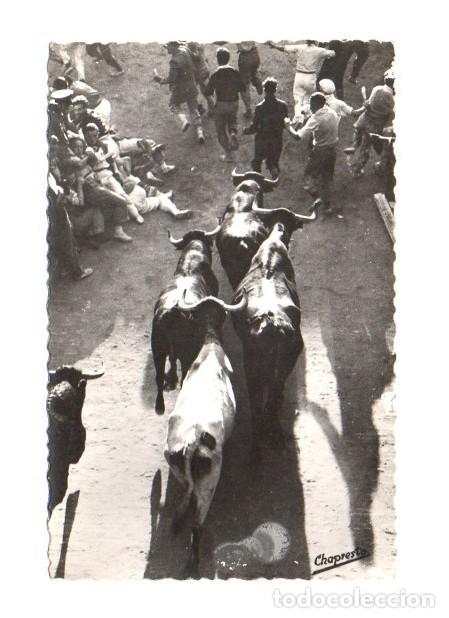 Tauromaquia: POSTAL FOTOGRAFICA N&ordm; 146 - SAN FERMINES ENCIERROS: SALIDA DEL CALLEJ&Oacute;N. CHAPRESTO. SIN CIRCULAR