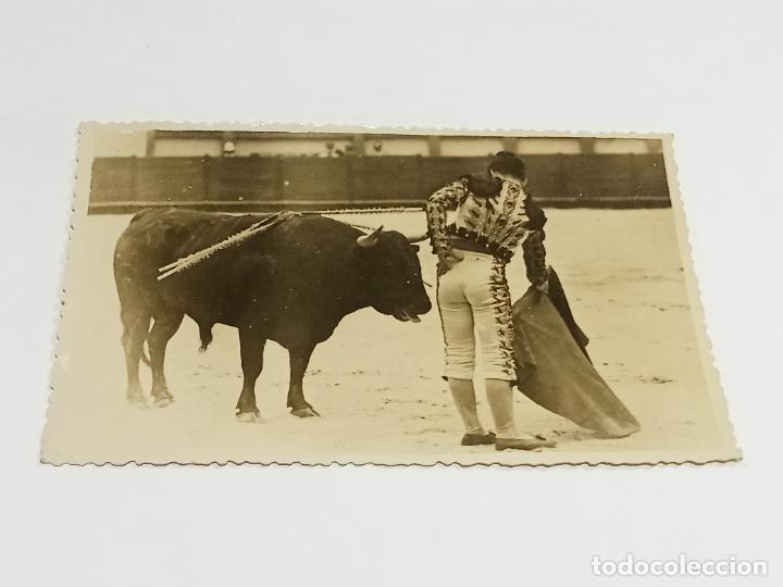 Tauromachia: FOTO POSTAL. TAUROMAQUIA. TOROS. TORERO JUNTO A TORO EN LA PLAZA.