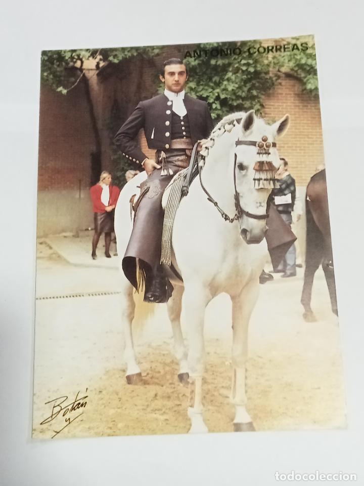 Bullfighting: LAMINA. IMAGEN DE TORERO. TAUROMAQUIA. ANTONIO CORREAS. 14 X 20 CM