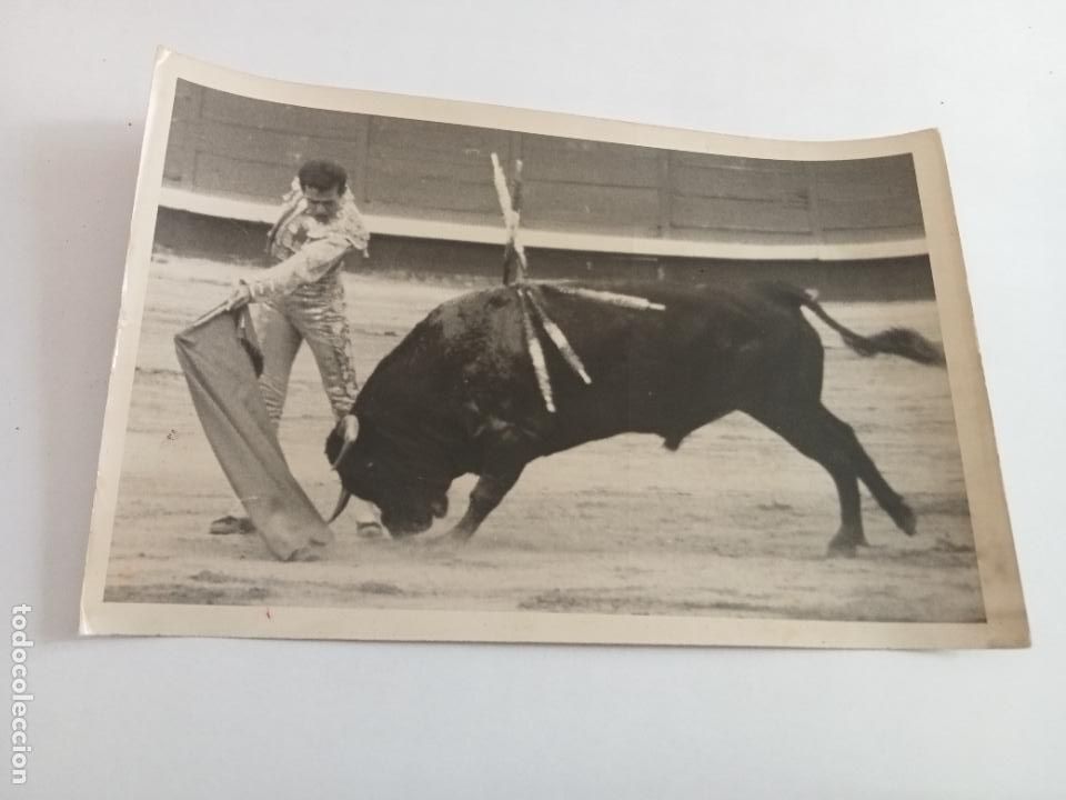 Stierkampf: ANTIGUA FOTOGRAFIA. TAUROMAQUIA. TORERO PEPE LUIS RAMIREZ TOREANDO. 13 X 18 CM