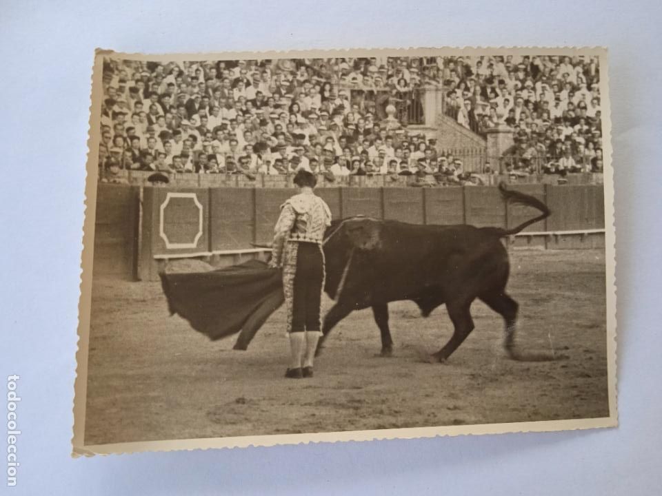 Stierkampf: FOTOGRAFIA. TORERO PEPE LUIS VAZQUEZ. FOTO ARJONA, SEVILLA. 13 X 18 CM APROX.