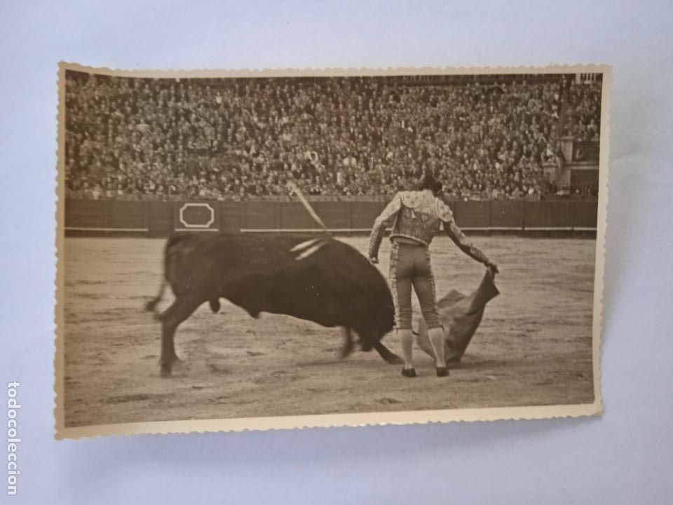 Stierkampf: FOTOGRAFIA. TORERO PEPE LUIS VAZQUEZ. 13 X 18 CM APROX.