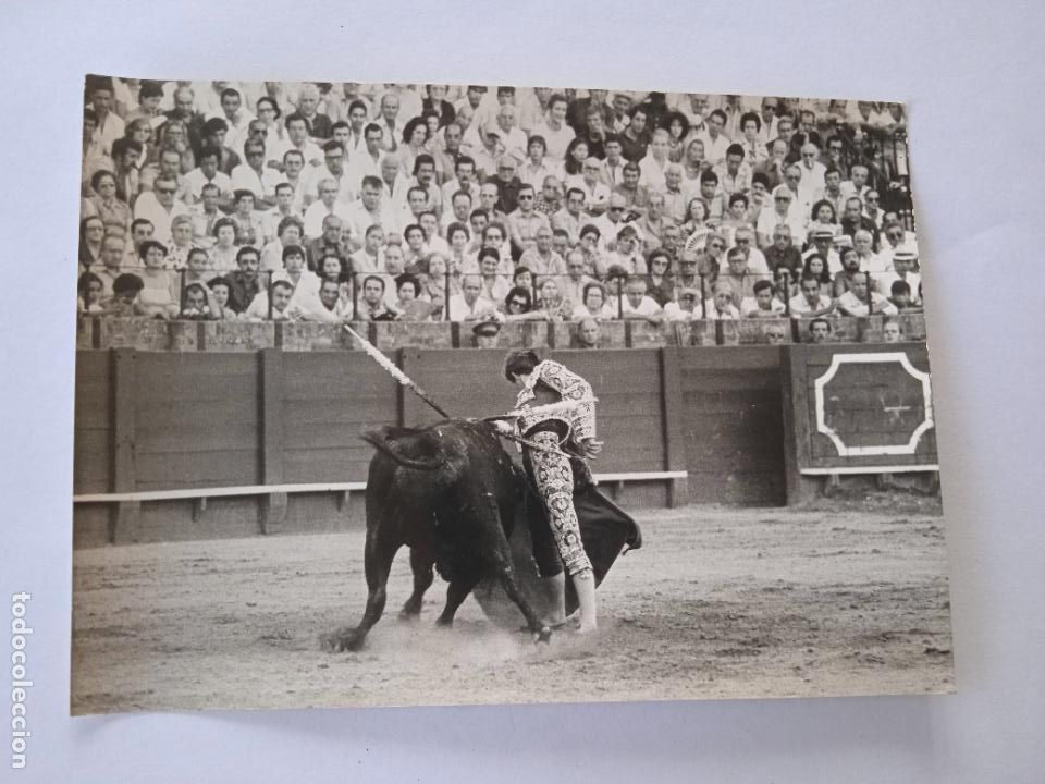 Tauromaquia: FOTOGRAFIA. TORERO PEPE LUIS VAZQUEZ ( HIJO). FOTO ARJONA. 13 X 18 CM APROX.