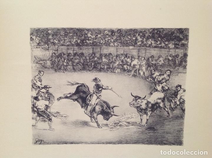 Tauromaquia: Goya. Los toros de Buerdeos - Foto 4