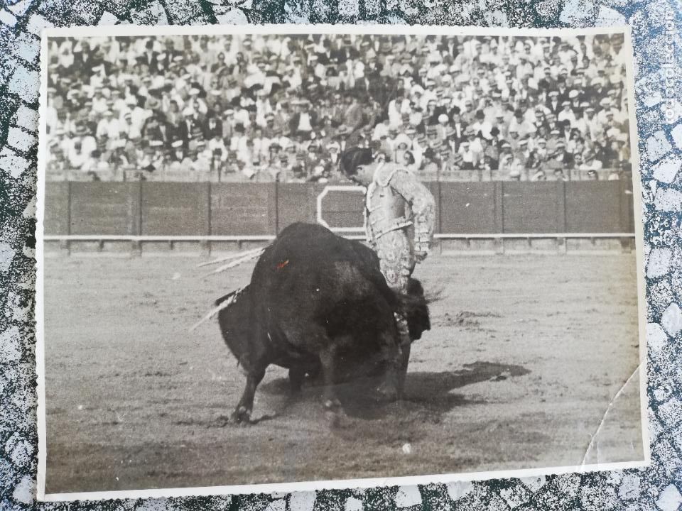 Bullfighting: FOTOGRAFIA. TORERO PEPIN MARTIN VAZQUEZ. 18 X 24 CM APROX.