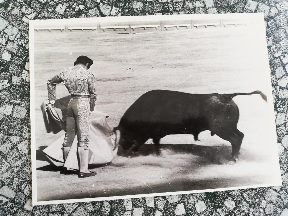 Stierkampf: FOTOGRAFIA. TORERO RAFAEL DE PAULA. FOTO M. IGLESIAS. 18 X 24 CM APROX.