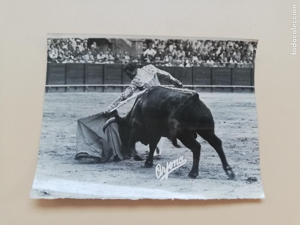 Tauromachie: FOTOGRAFIA ANTIGUA. TAUROMAQUIA. TORERO MANOLO GONZALEZ. FOTO ARJONA. 9 X 12 CM APROX.
