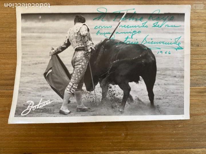 Tauromaquia: FOTOGRAFIA DE ANTONIO BIENVENIDA 1966, CON DEDICATORIA Y FIRMA AUTOGRAFA, FOTO BOTAN, MIDE 18 X 12 C