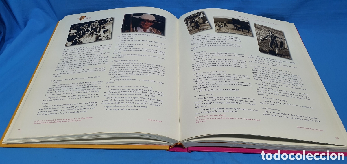 Tauromaquia: LO MEJOR DE VICTOR MENDES - Foto 6