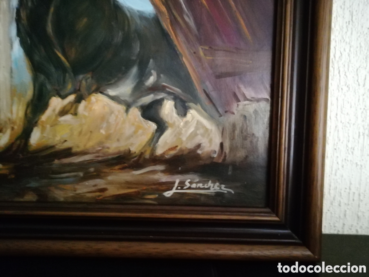 Tauromaquia: &Oacute;leo - Foto 4