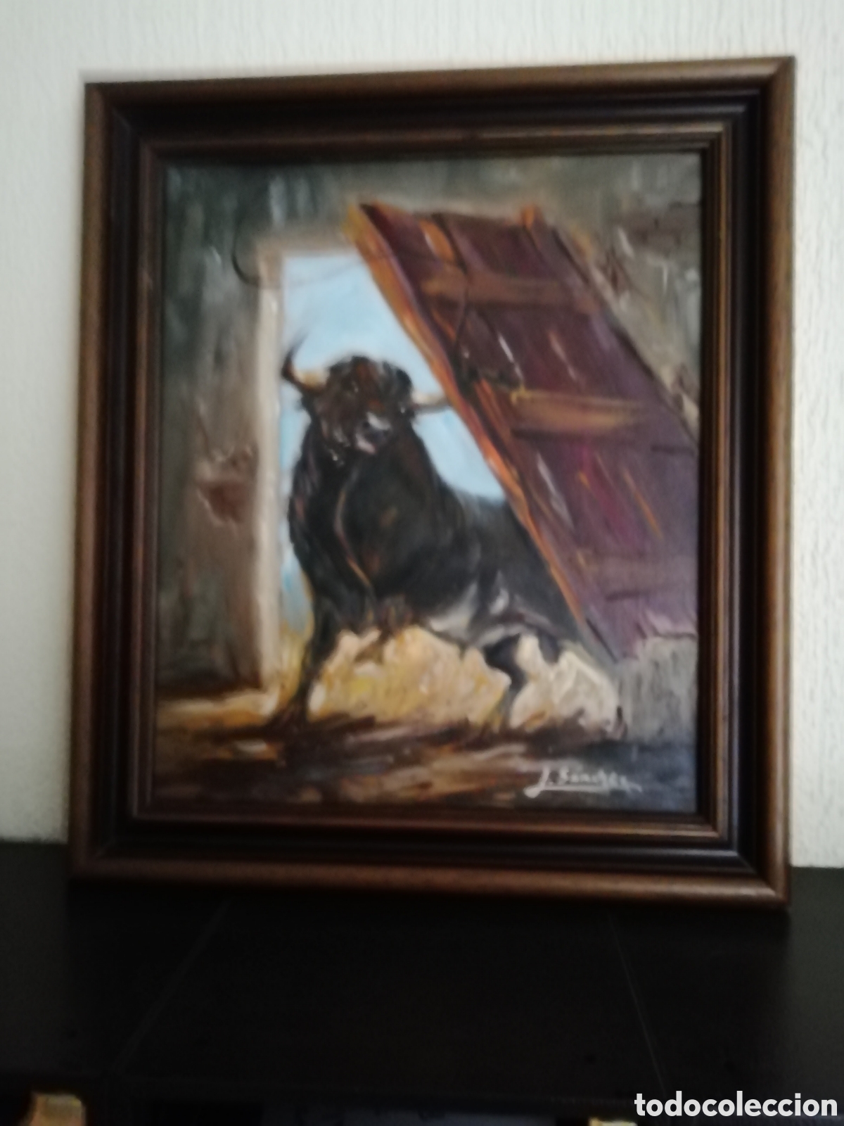 Tauromaquia: &Oacute;leo - Foto 5