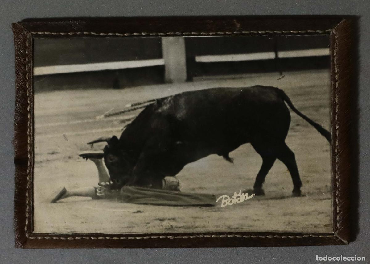 Bullfighting: FOTOGRAFIA. COGIDA TORERO. PLAZA TOROS MADRID. BOTAN. MARCO PIEL