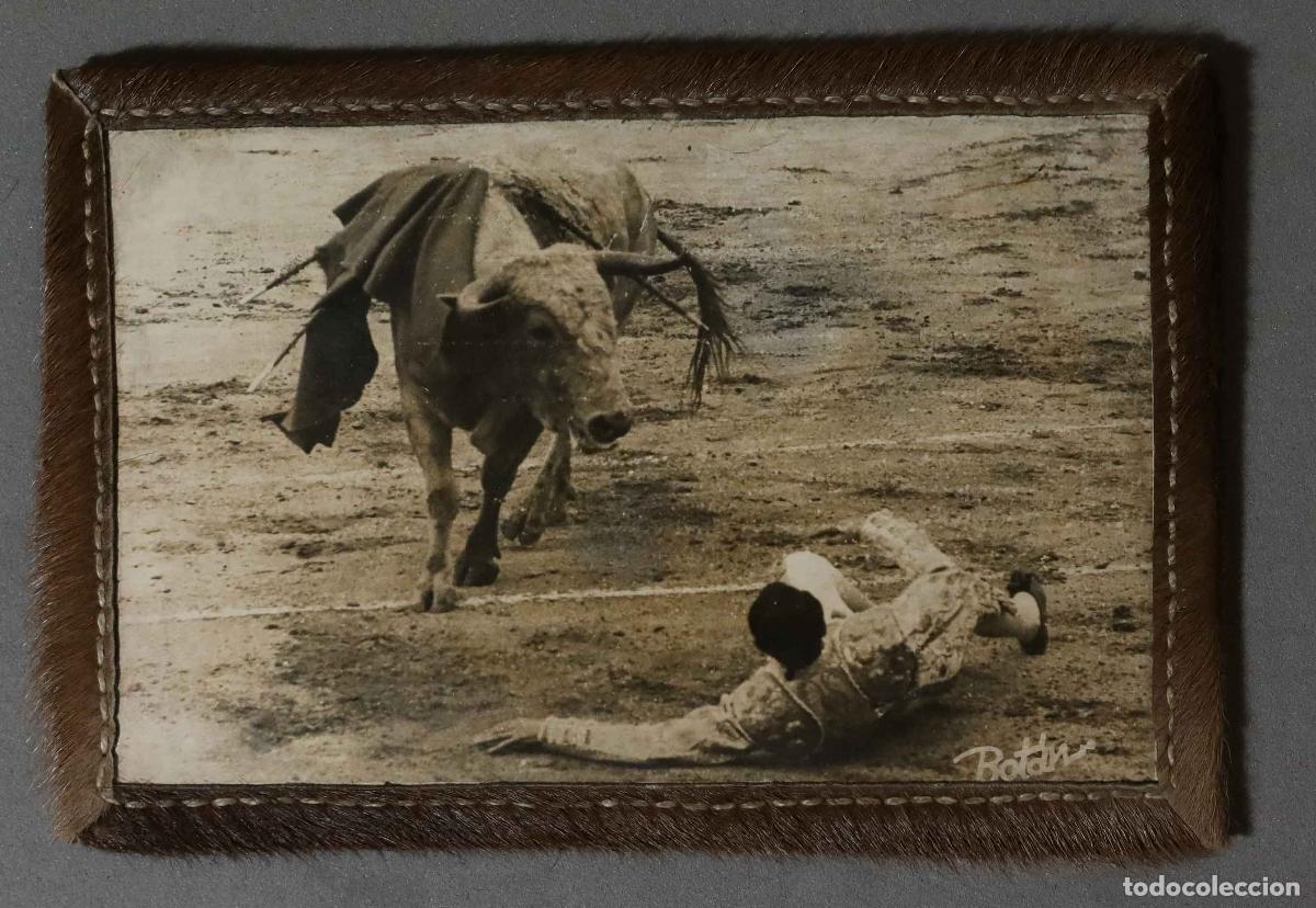 Bullfighting: FOTOGRAFIA. COGIDA TORO JABONERO. BOTAN. MARCO PIEL