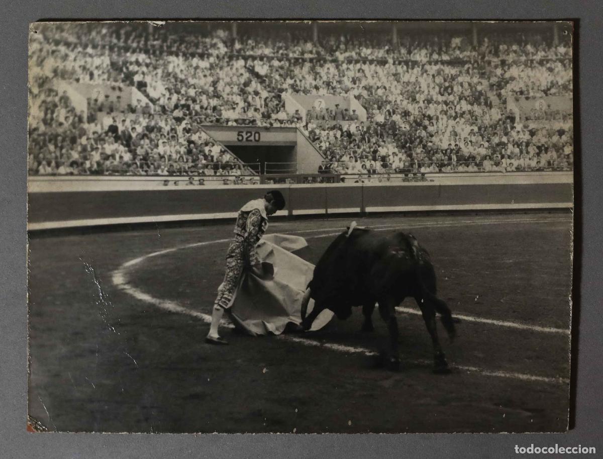 Bullfighting: FOTOGRAFIA. VERONICA CORDOBES