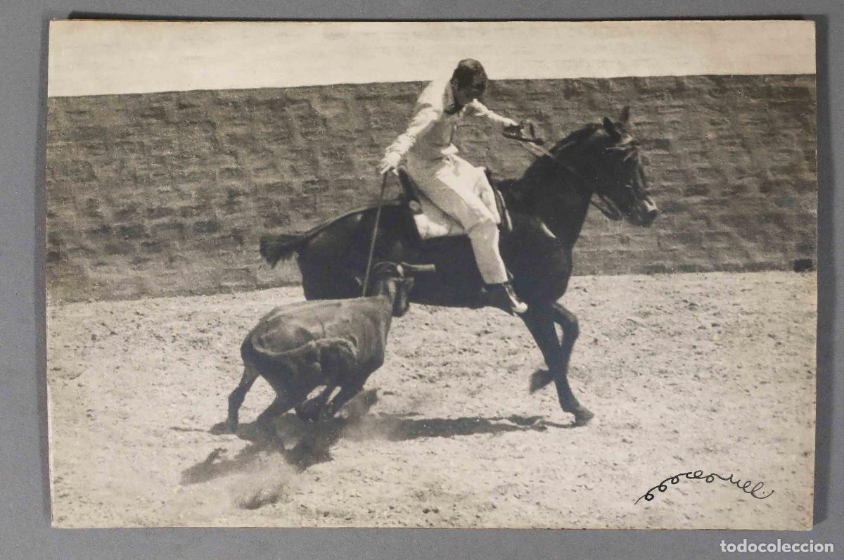 Bullfighting: FOTOGRAFIA. CORDOBES REJONEANDO A VAQUILLA. FIRMA FOTOGRAFO