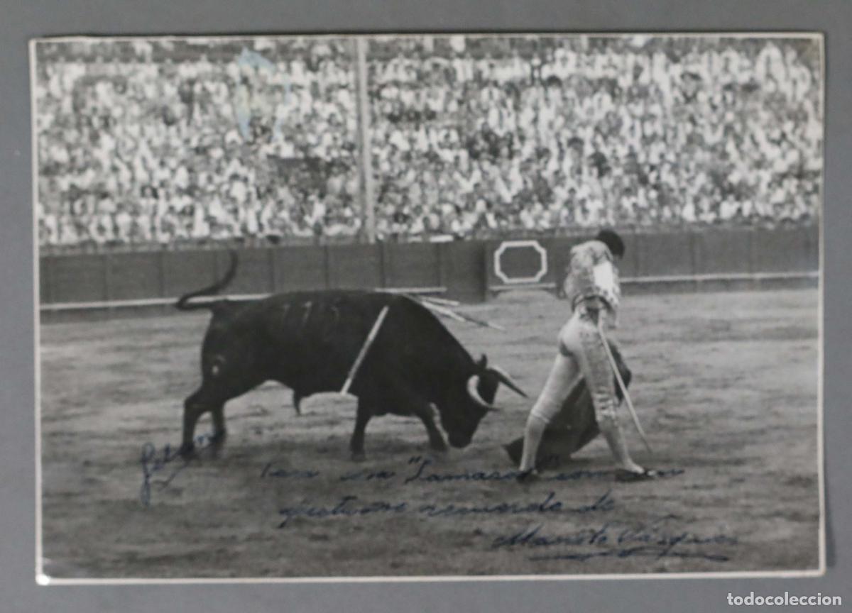 Tauromaquia: FOTOGRAFIA. MANOLO VAZQUEZ. DEDICATORIA AUTOGRAFA AUTOR