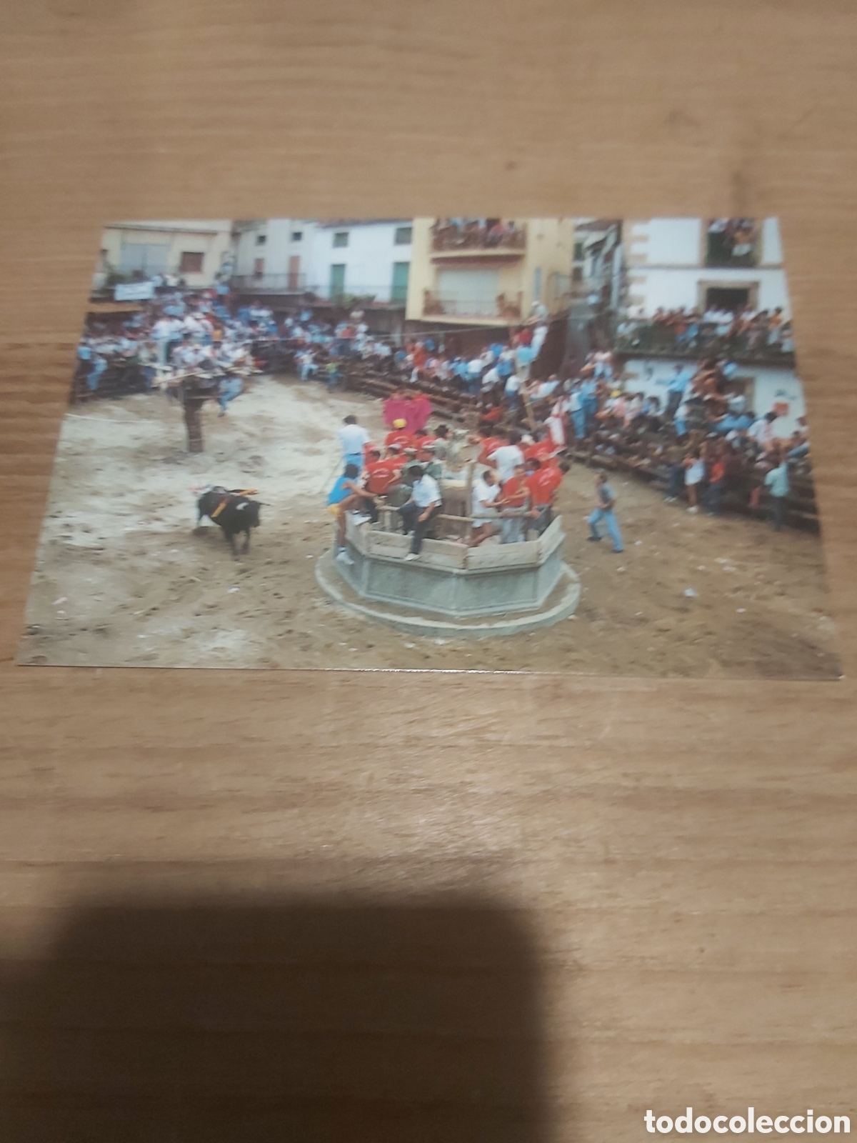 Tauromachia: Toros fiesta t&iacute;pica jarandilla de la vera C&aacute;ceres Espa&ntilde;a