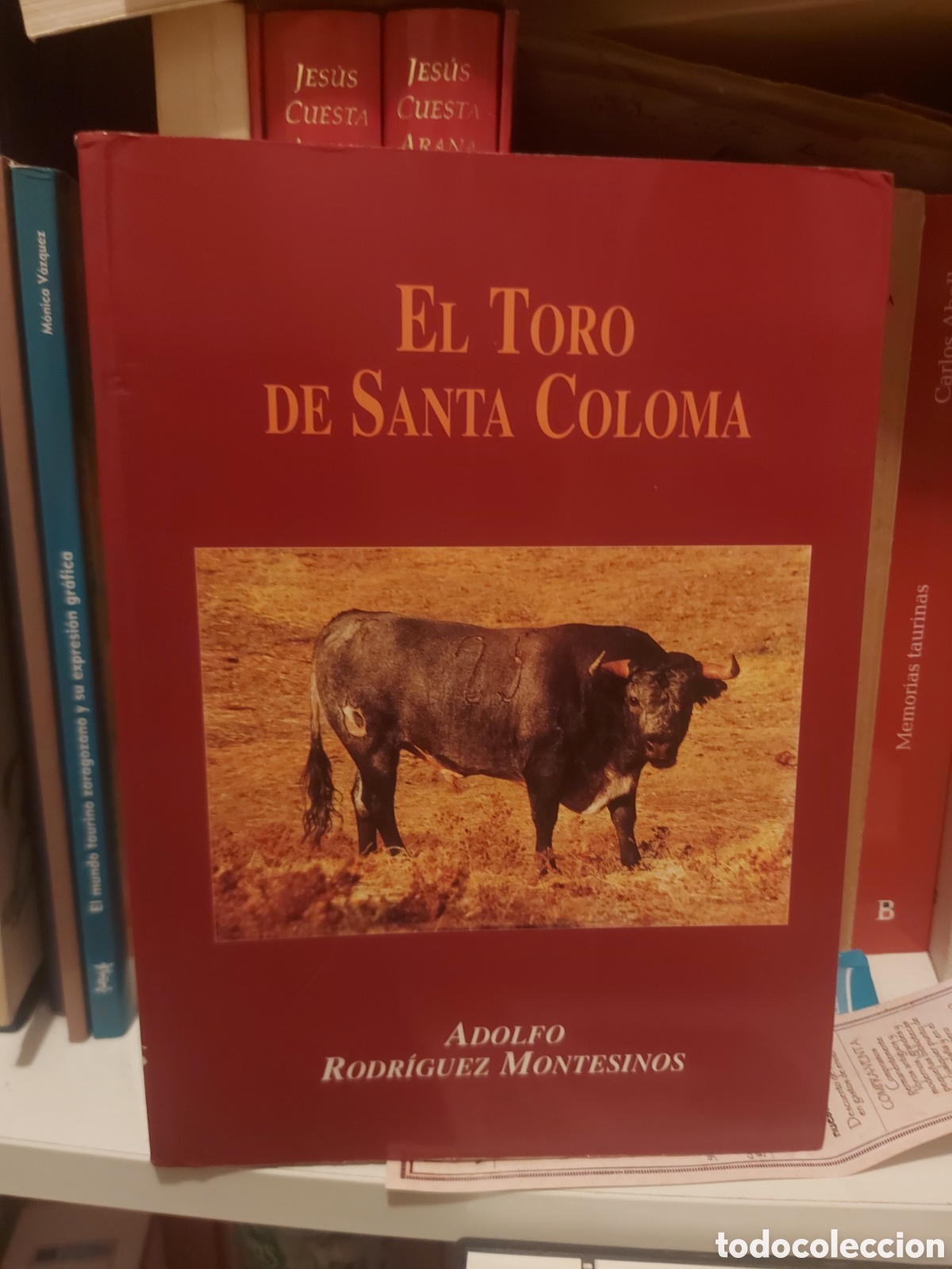 Tauromaquia: El Toro de Santa Coloma - Foto 1