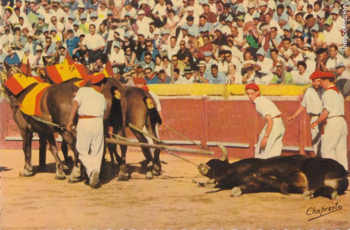 Tauromaquia: POSTA TOROS : AMARRE DEL TORO - CHAPRESTO - FOURNIER VITORIA - TAUROMAQUIA