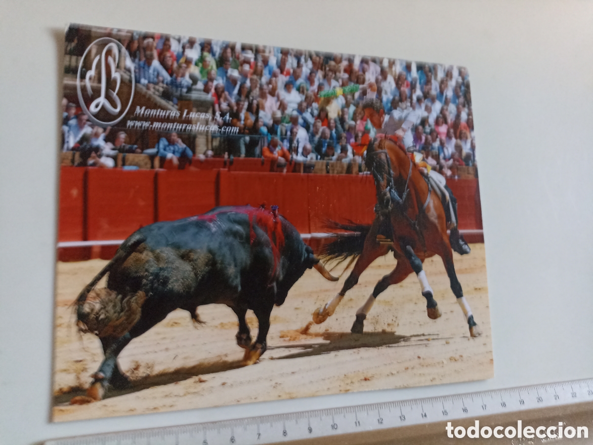 Tauromachie: FOTOGRAF&Iacute;A TAUROMAQUIA REJONEADOR