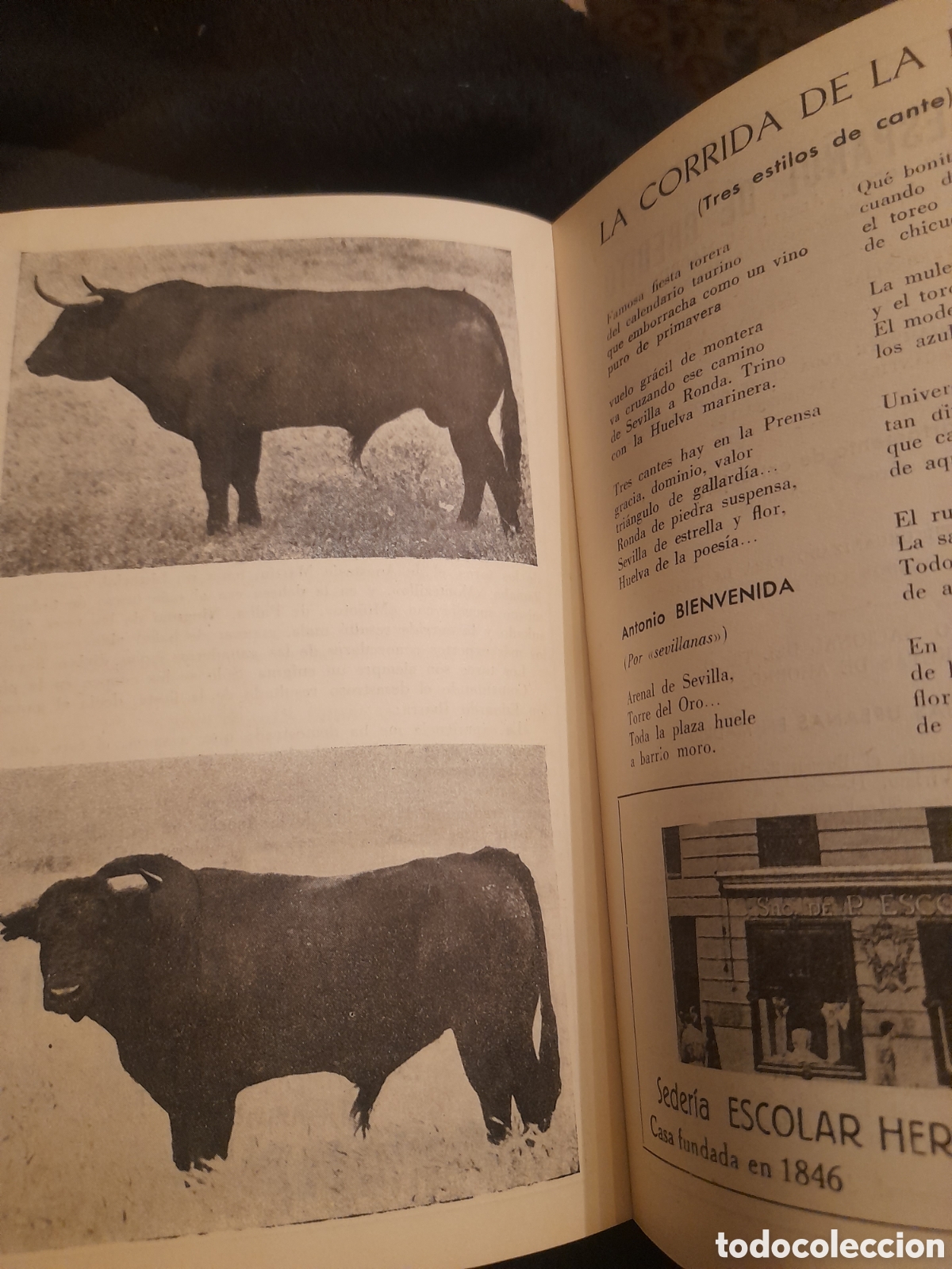 Tauromaquia: Programa, Gran Corrida de la Prensa de 1958 - Foto 10
