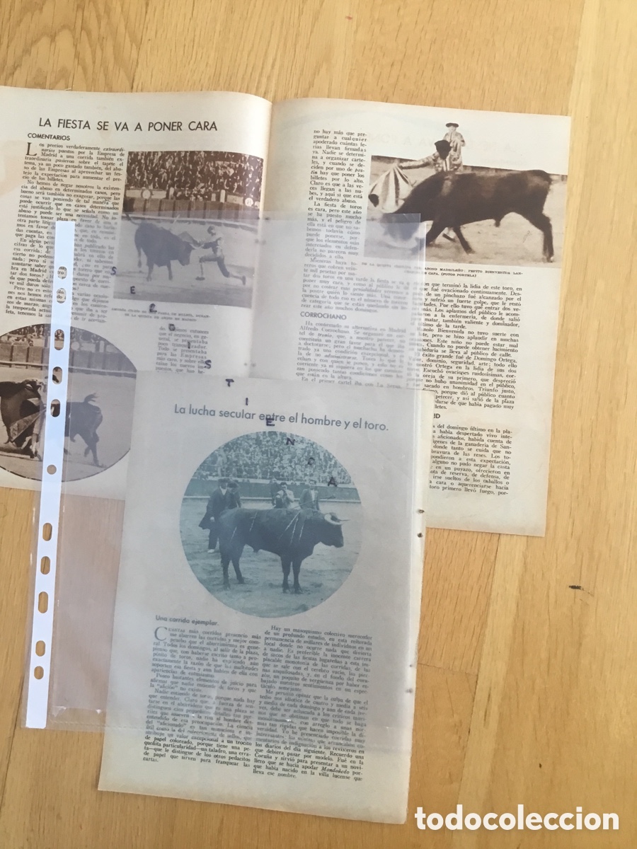 Tauromaquia: - Tauromaquia - Toros y toreros - Amor&oacute;s, Bienvenida, Corrochano, Chicuelo, Gitanillo de Camas. 1920