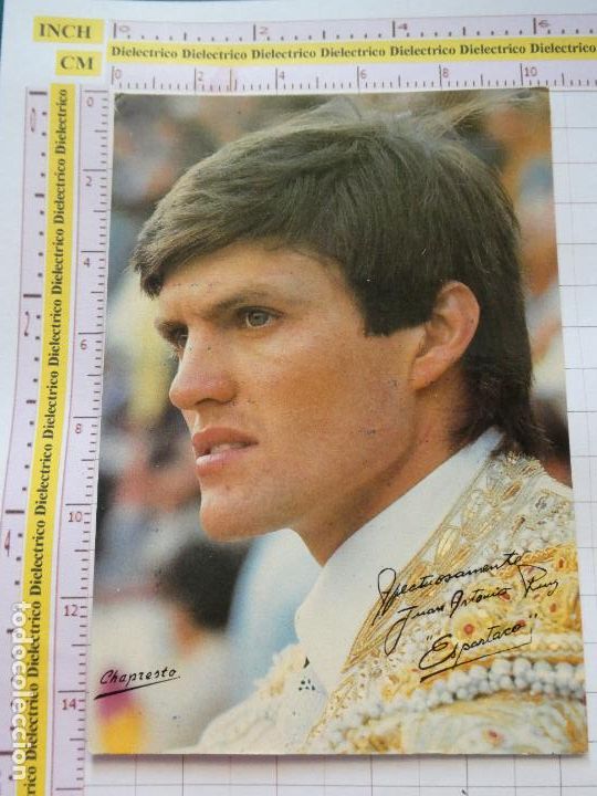 Tauromaquia: TARJETA POSTAL TAUROMAQUIA. FERIA TAURINA TOROS EN M&Aacute;LAGA 1990. ESPARTACO. 107