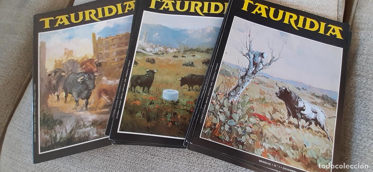 Tauromachia: Tauridia. Publicaci&oacute;n hisp&aacute;nica de la Fiesta. Lote de 14 n&uacute;meros entre el 7 y el 40.