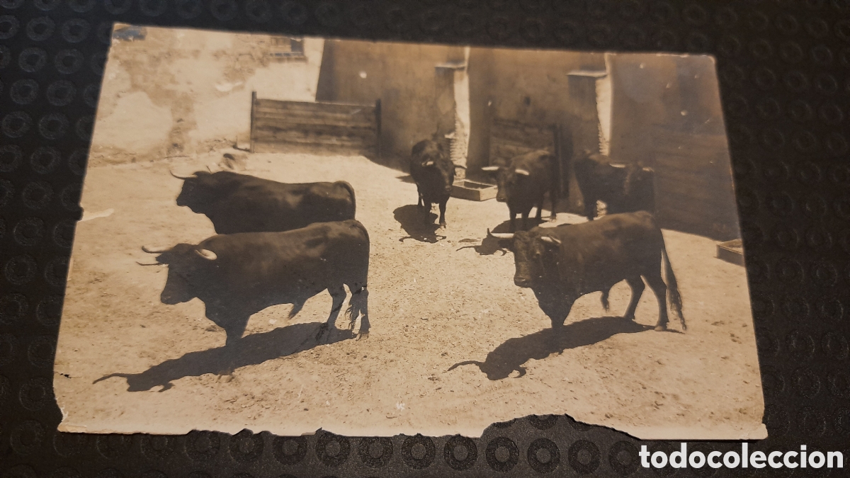 Tauromaquia: POSTAL ANTIGUA TOROS - Foto 1