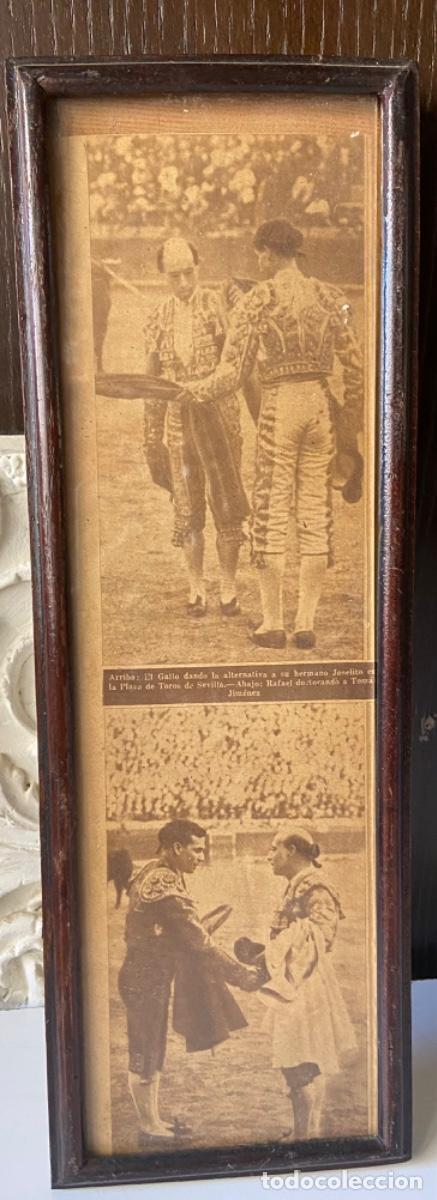 Tauromaquia: 160- - L&aacute;mina original enmarcada. Gallo dando la alternativa en Sevilla a Joselito. 1.912.