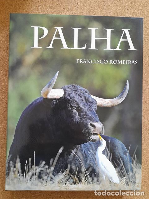 Bullfighting: Palha. Romeiras (Francisco). Linda-a-Velha (Portugal),Francisco Romeiras Fotografia Desportiva 2011