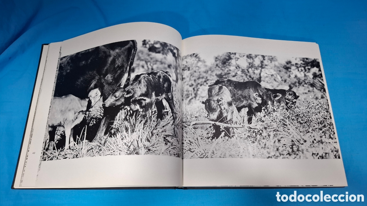 Tauromaquia: TOROS DE IBERIA - ROBERT VAVRA - Foto 6