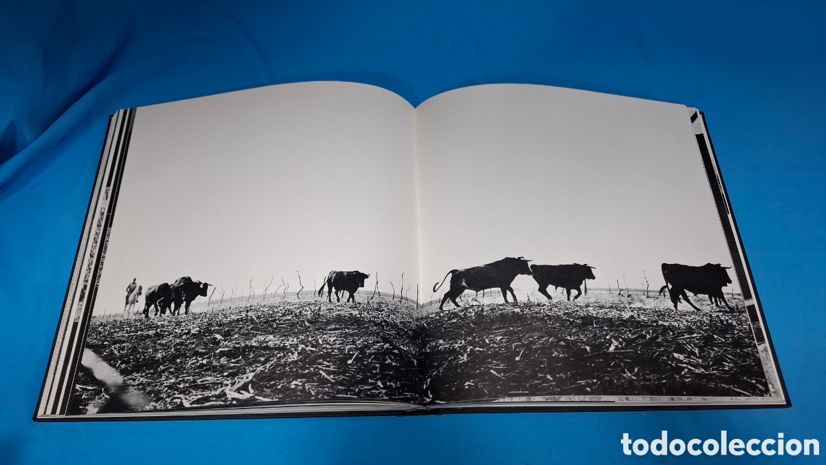 Tauromaquia: TOROS DE IBERIA - ROBERT VAVRA - Foto 7