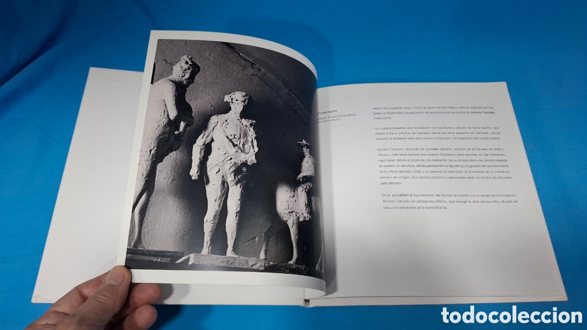 Tauromaquia: ANTONIO CAMPILLO - CANTE Y TOROS - Foto 2