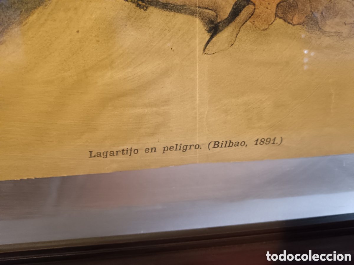 Tauromaquia: 2 cuadros de la Lidia - Foto 1