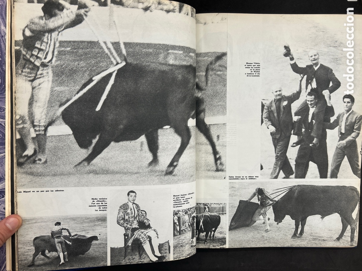 Tauromaquia: &Aacute;lbum de toros EL ALCAZAR