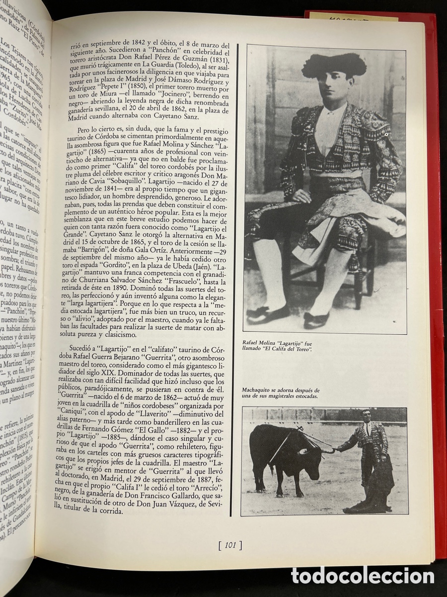 Tauromaquia: Los toros en Andaluc&iacute;a, Ed.Arguval - Foto 2