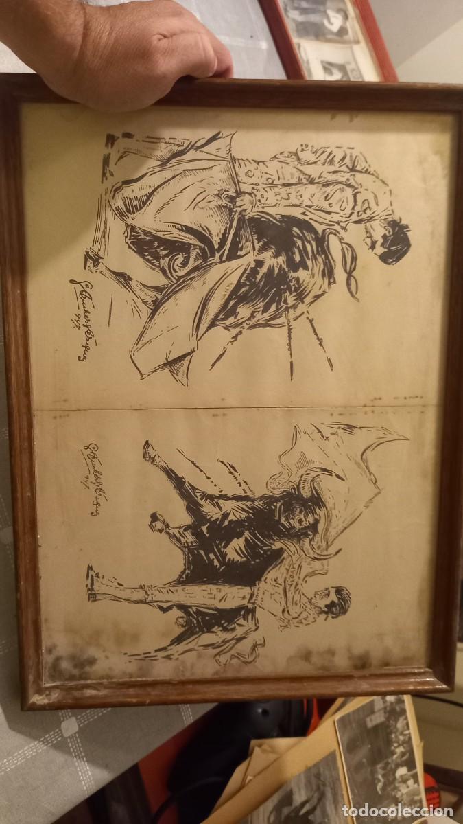 Tauromachia: Coleccion taurina antigua