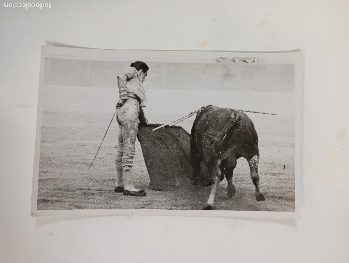 Tauromachie: ANTIGUA FOTOGRAF&Iacute;A CORRIDA DE TOROS. TORERO. TDKP27B