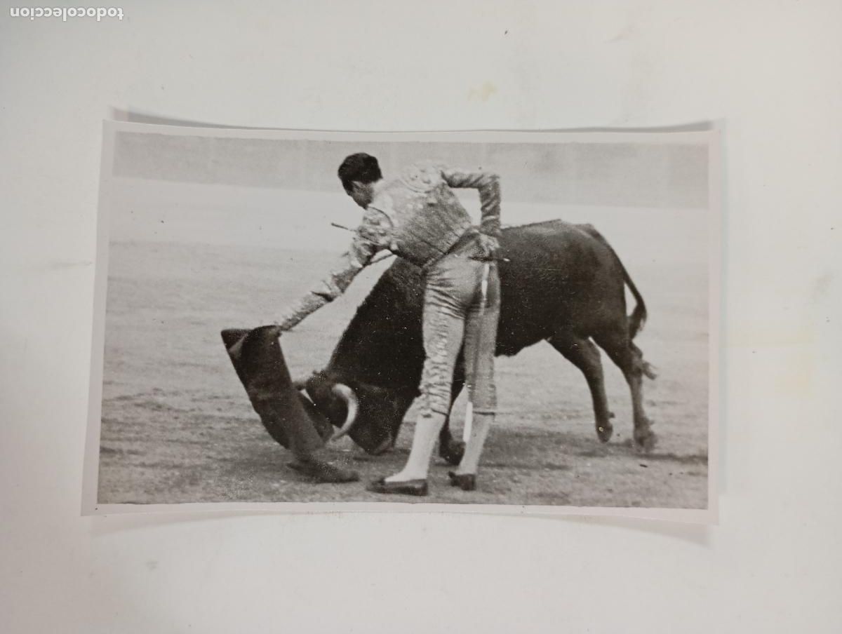 Tauromachie: ANTIGUA FOTOGRAF&Iacute;A CORRIDA DE TOROS. TORERO. TDKP27B