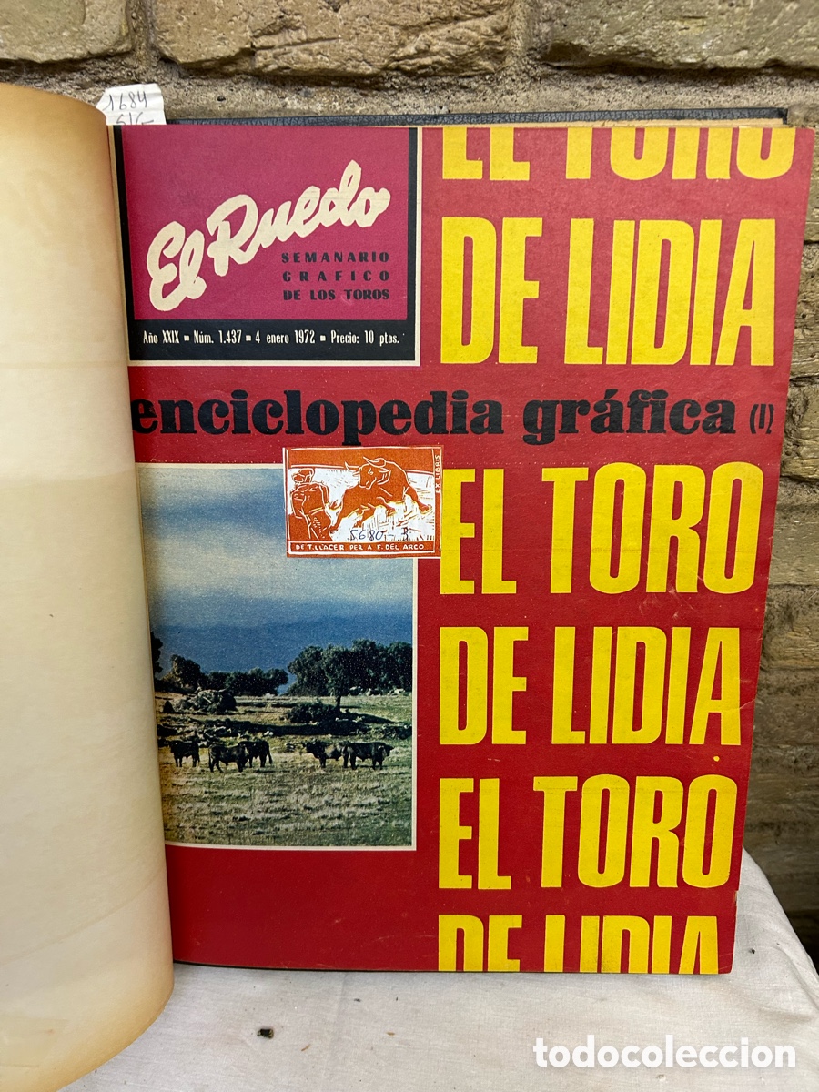 Tauromaquia: El ruedo y muerte en la tarde - Foto 1
