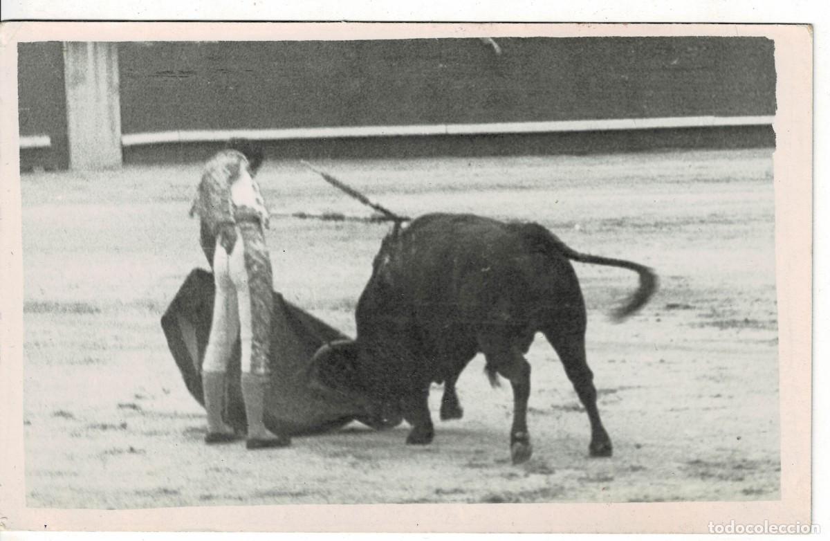 Bullfighting: FOTO TAURINA UN PASE SIN IDENTIFICAR. FOTAUR-574